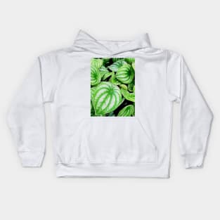 Peperomia argyreia plants Kids Hoodie